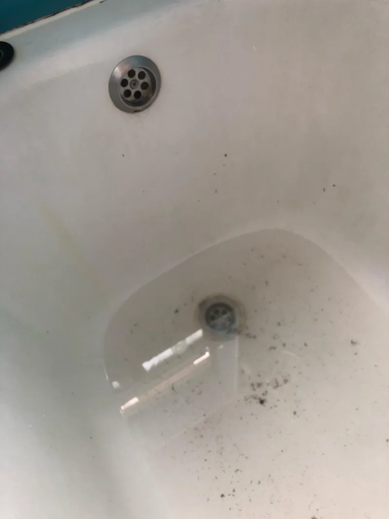 Bathtub drain backed up with standing water and debris in the tub