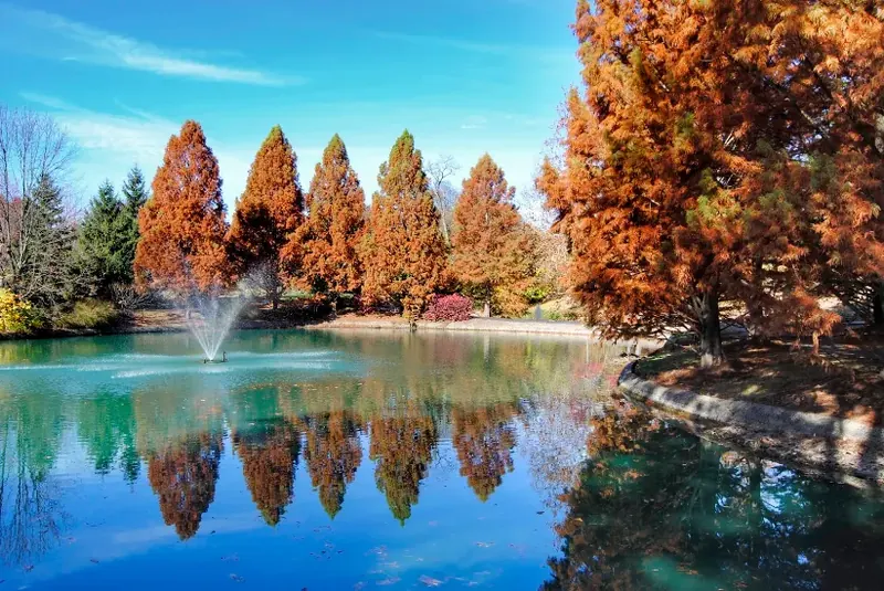 Pond with a fountain and orange fall cypress trees reflected in the water in Montgomery
