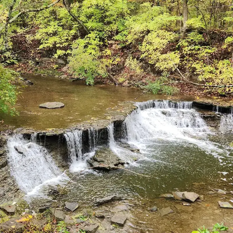 Small waterfall over rock ledges in a creek surrounded by fall woods