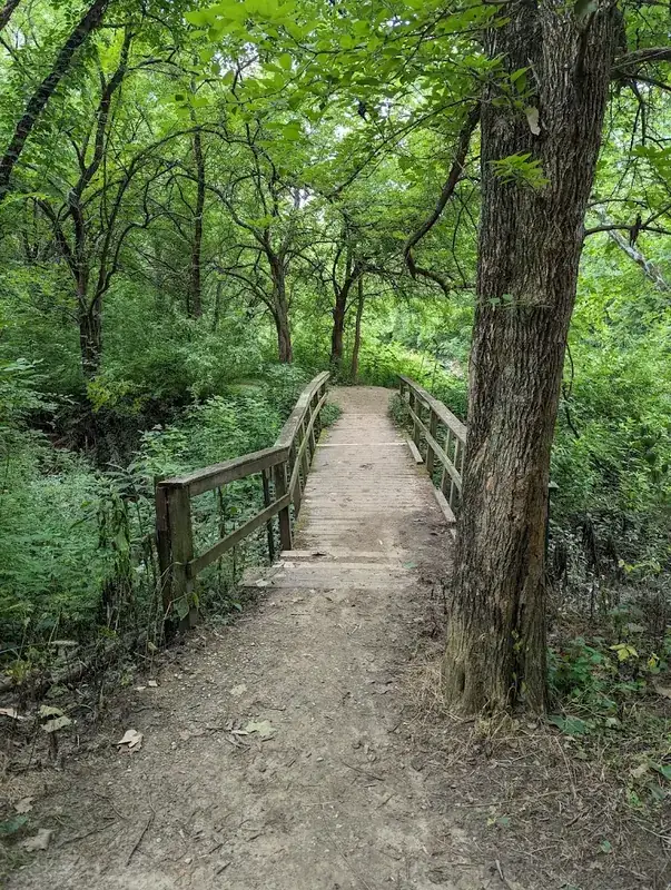 Wooden footbridge on a wooded trail in Liberty Township