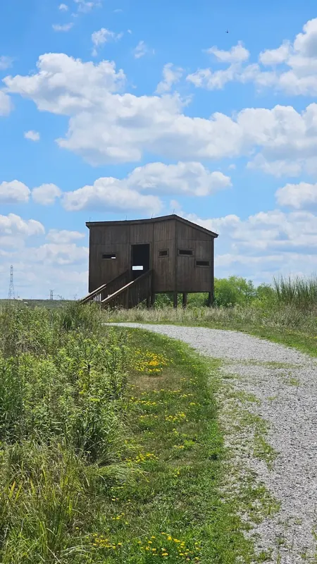 Wooden bird blind beside a gravel trail through tall grass near Harrison