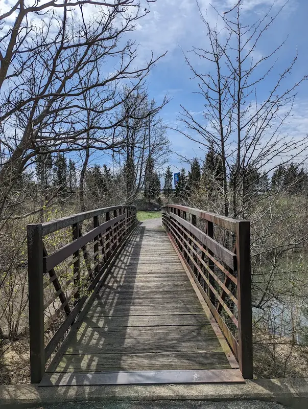 Wooden footbridge leading into bare spring trees in Mount Healthy